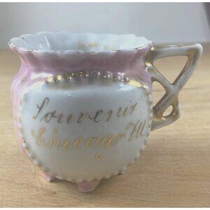 Antique Chicago IL Cup Victorian Souvenir Gold Gilded Pink Ornate Handle Design